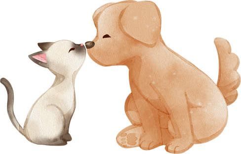 Cat kissing dog